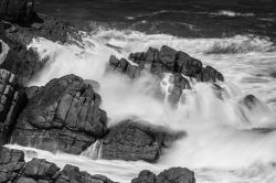 Phillip Island, Australia